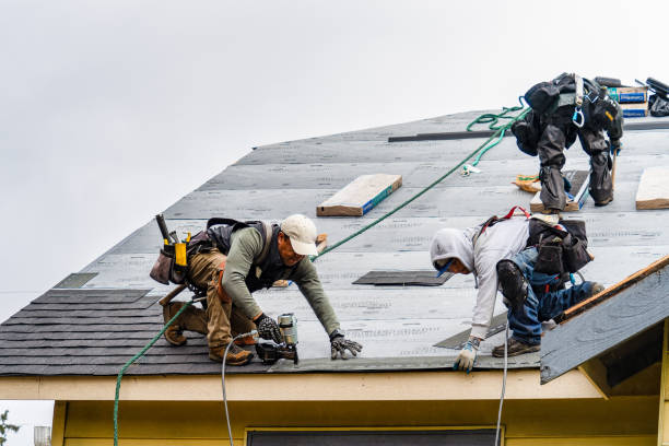 Professional Gutter Installation technician working in Vancleave, MS